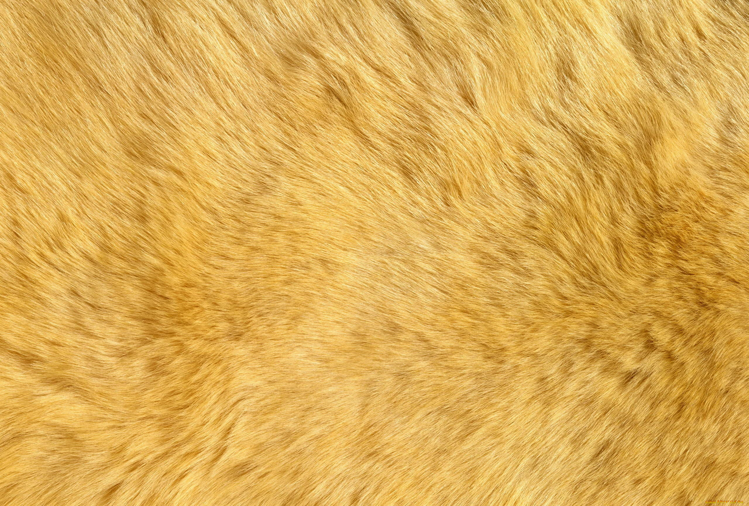 , , , , 